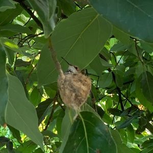 Meet your Posher, Lisset